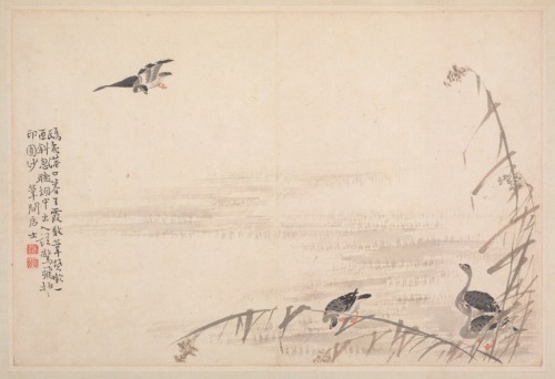 Album of Calligraphy and Paintings, Bian Shoumin, 18th Century, Cleveland Museum of Art: Chinese Art