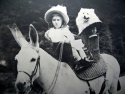 A young Franklin Delano Roosevelt.