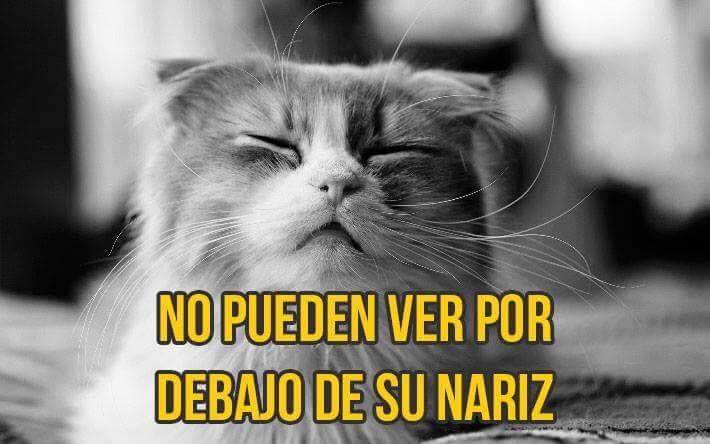 finofilipino:  Conclusión: Muy pronto nos dominarán.
