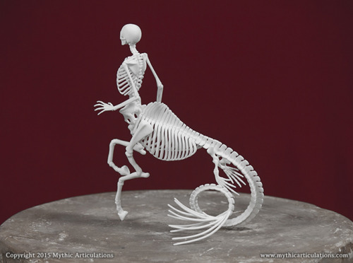 The new year means new skeletons. First up is the bizarre Icthyocentaur. Half man, half Hippocampus.