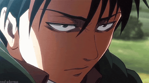 Levi's Eyes' Appreciation Post: