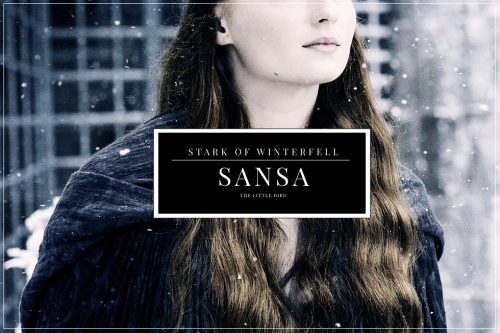 amazingeugenie:  For a moment Eddard Stark was filled with a terrible sense of foreboding. This was 
