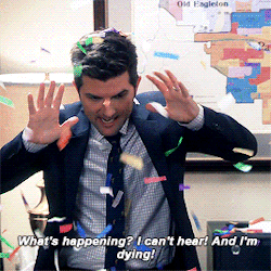 odairannies: which ben wyatt are you today?