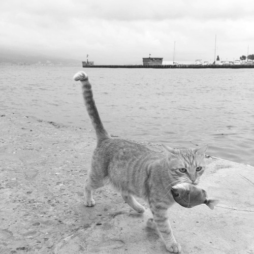 wsrod-chmur:  b&amp;w edit