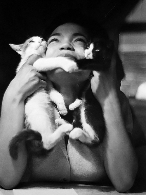 jamesfranciscagney:Eartha Kitt, and a couple of kittens, photographed by Gordon Parks. c. 1952