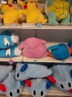 rewatchingpokemon:  visited the Pokemon Center in Sapporo, Japan today! (It’s a lot smaller than the big one in Tokyo but I was still very very happy)  please note: faceplant sleeping mudkip