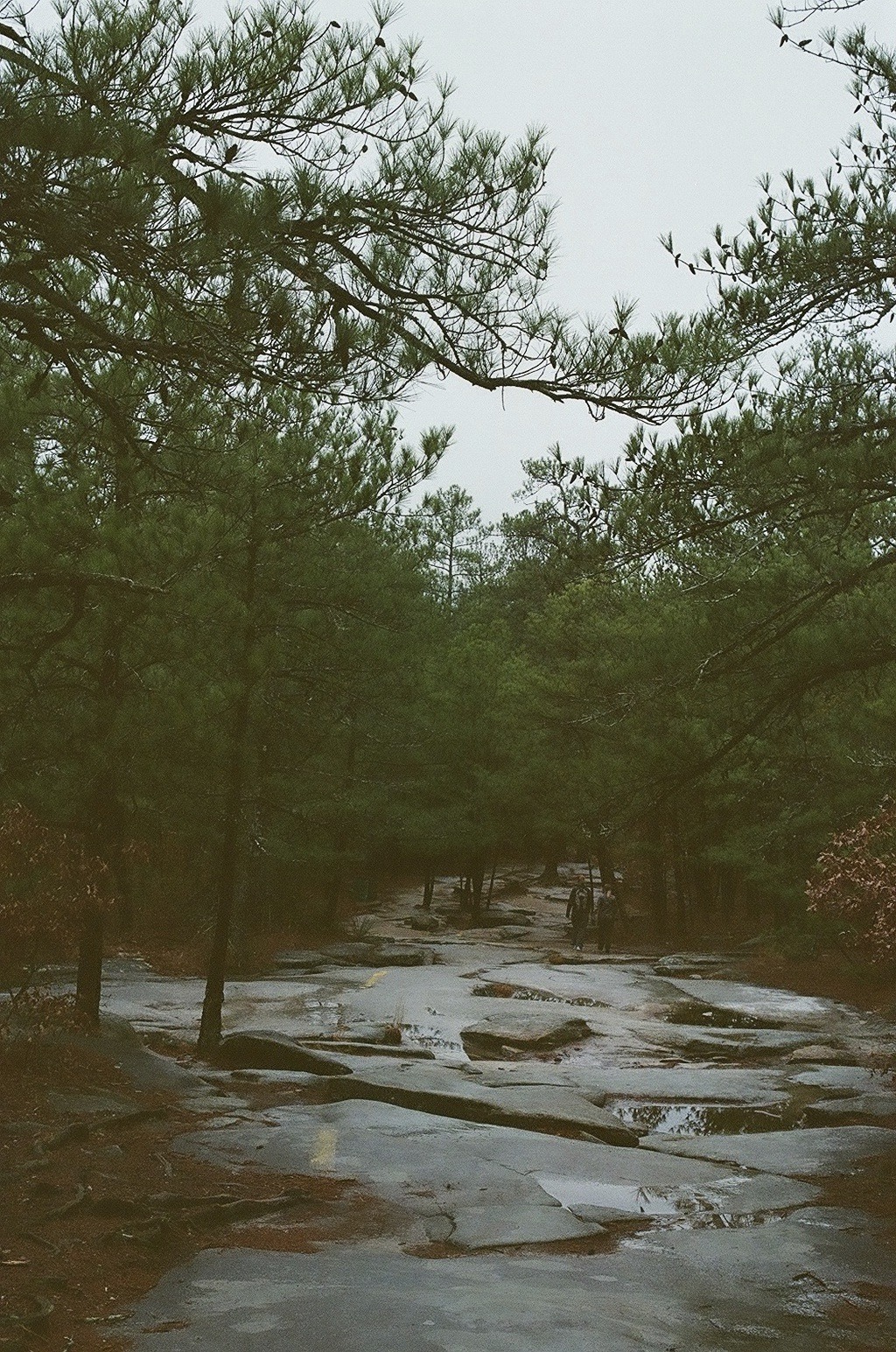 daiwenjie:  On top of Stone Mountain, which I found out is aprivate reserve, who
