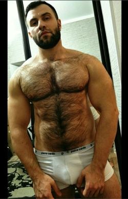 thebearunderground:  The Bear Underground