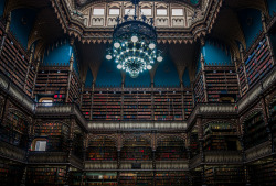 nevver:  die Bibliothek