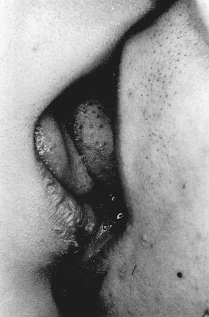 Porn photo euo:  Nobuyoshi Araki- Erotics 