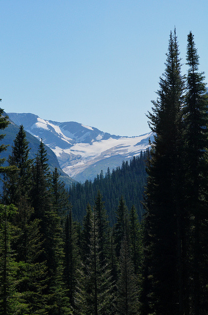 orbited:  Jackson Glacier. by Gabriel Amadeus on Flickr 