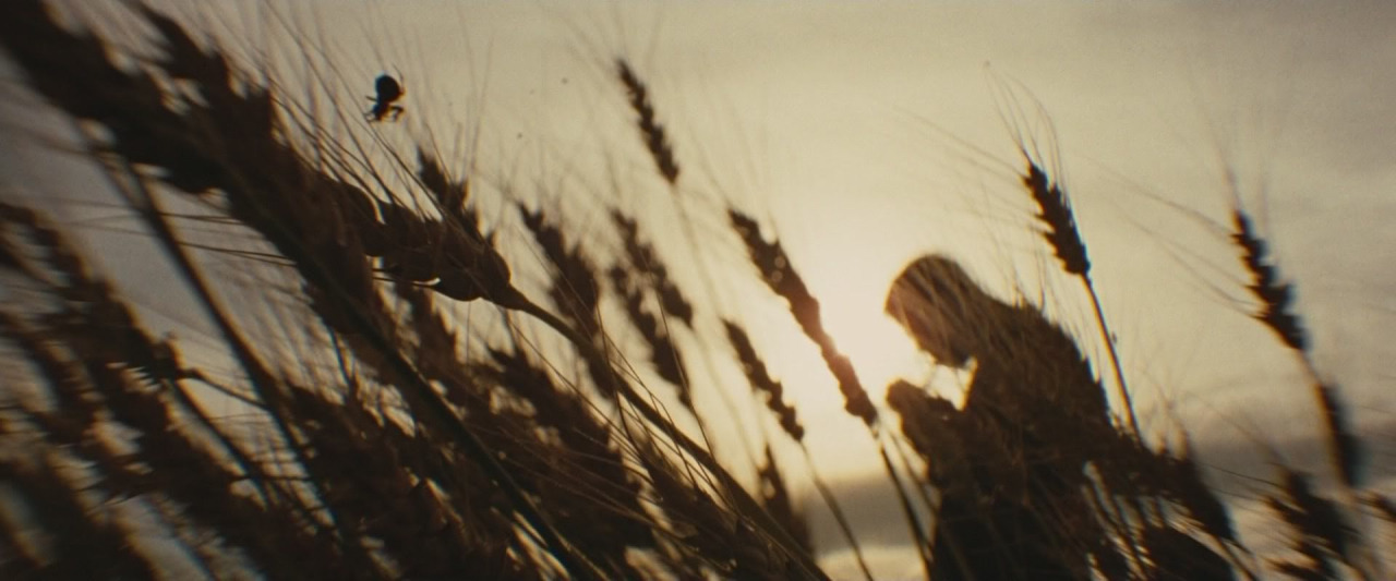 cinemaspam:  10 frames The Assassination of Jesse James by The Coward Robert Ford
