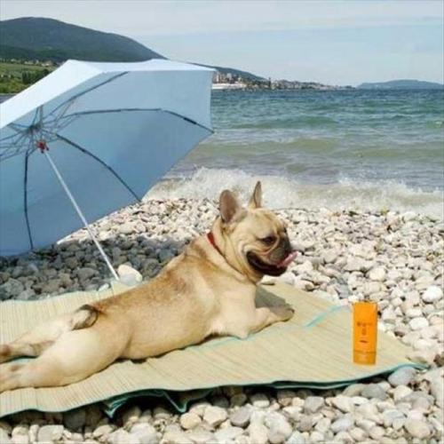 weekend!!!!!!!