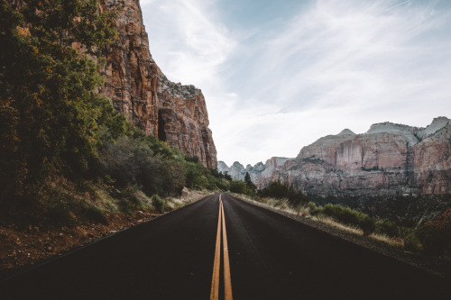 jasonincalifornia:Roads of Zion