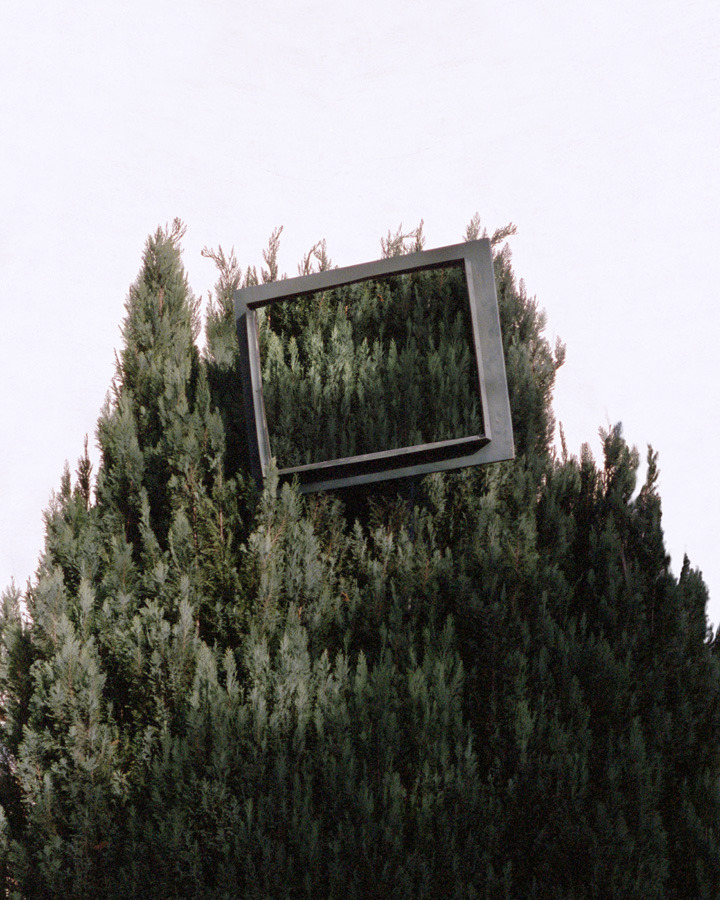 cerceos:  Thomas Albdorf 