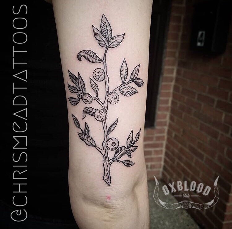 Ola Grigorev  tattoo artist on Instagram A blueberry branch for Pamela  thank you blueberrytattoo botanicaltattoo botanicalart