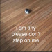 rohypenol:here’s some cat memes i made bc i’m upsetti 
