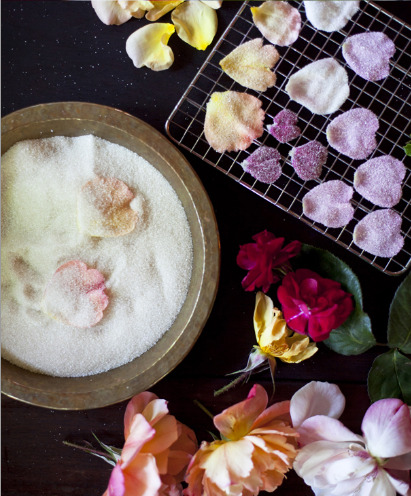 indigo-lezebel:  Candied Rose Petals© Photo by Eric Wolfinger 1 pasteurized egg white beaten with a little water (prepared meringue powder or a simple syrup will also do) Granulated sugar Rose petals, rinsed and patted dry A small brush (a watercolor