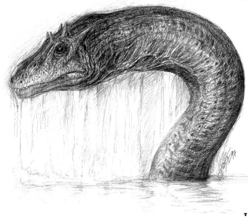 Ogopogo or Naitaka (Salish: n'ha-a-itk, “lake demon”) is the name given to a cryptid lake monster reported to live in Okanagan Lake, in British Columbia, Canada. Ogopogo has been allegedly seen by First Nations people since the 19th century.