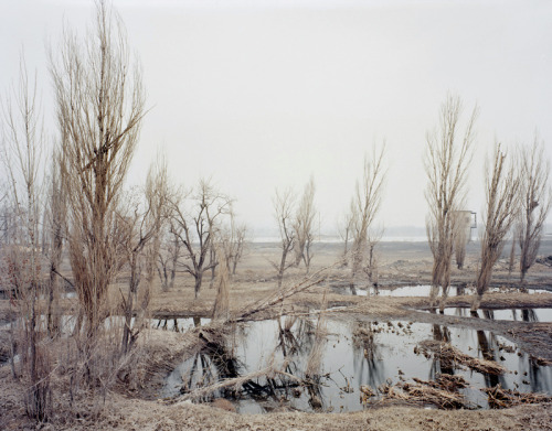 Zhang Kechun (张克纯): Yellow River series, 2011 The Yellow River (黄河) is often called the cradle 