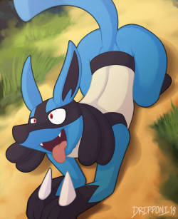 support this cute lucario on the other sites