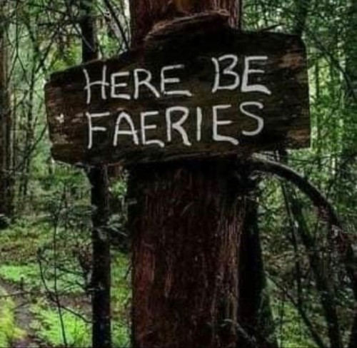 Faecore