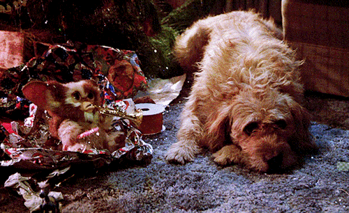 lady-laracroft:Now I have another reason to hate Christmas.GREMLINS (1984) dir. Joe Dante