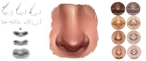slinkyputty:  Some hair and facial anatomy I’ve found. Various sources. 