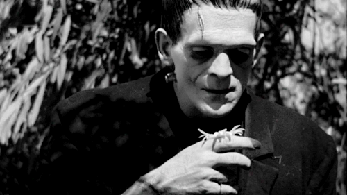 Frankenstein, 1931, dir. James Whale.