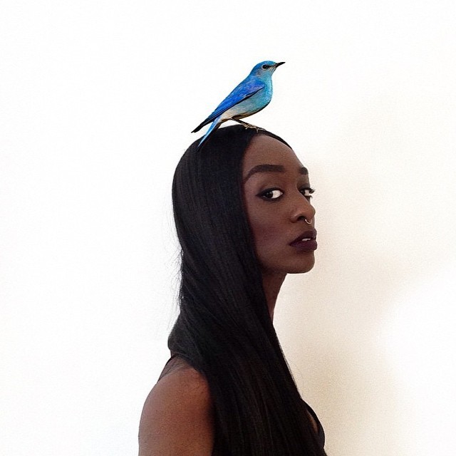 youngparis:  Beautifully digitized headpieces from Designer &amp; Artist Loza