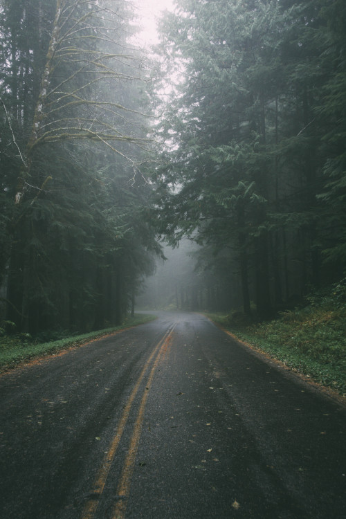 Foggy roads