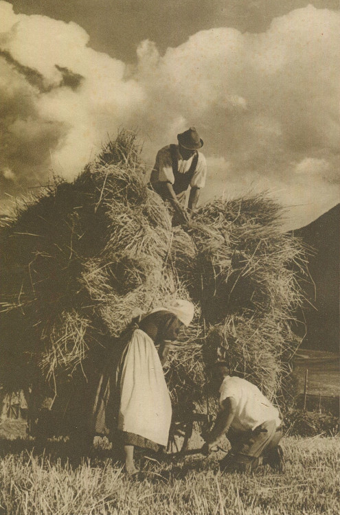 Val Sarentino / Sarntal Photo: G. Galimberti, “Le Vie d'Italia” (1934)