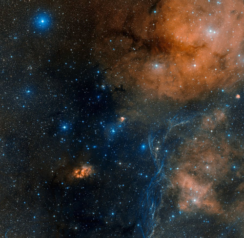 astronomicalwonders:  Star Forming Region Gum 19 This image shows the area around the star-forming region Gum 19, in the direction of the constellation of Vela (the Sail), as seen by the Digitized Sky Survey 2. Gum 19 is an emission nebula that generates