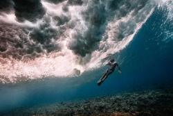 linxspiration:Epic Underwater Photography Shows What Happens Under The Waves