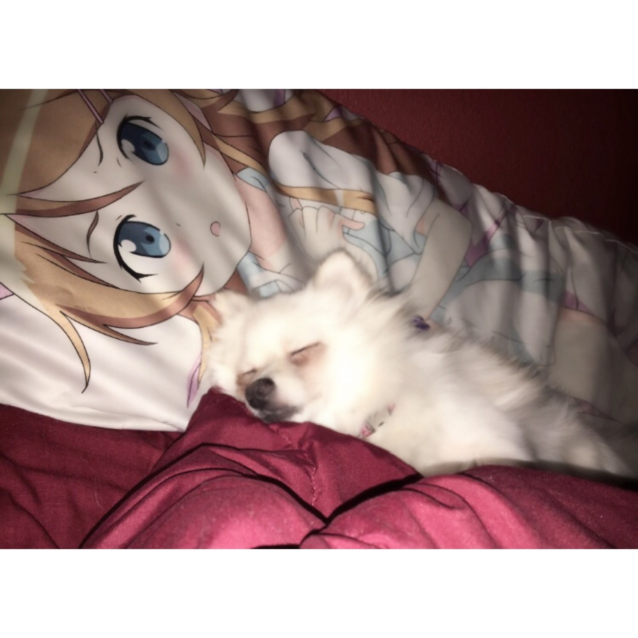 ghostlygif:  don’t u talk to me or my waifu ever again