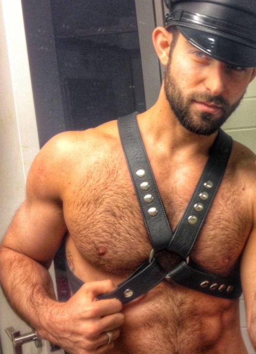 hairyfellaz:  😜🐻 