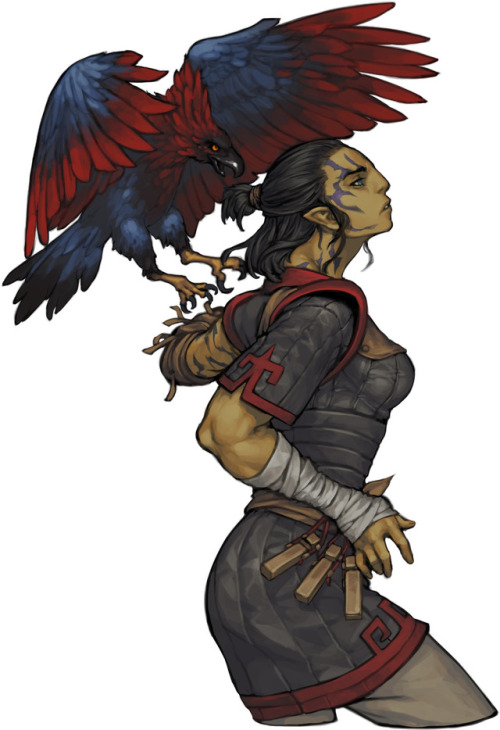 penettyo:Companions of deadfire