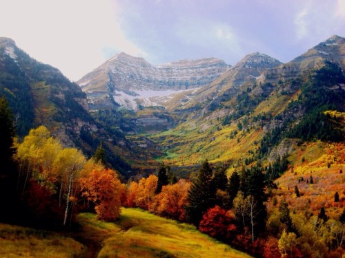 smileydri:  lilwolfiecritter:  I live here.  Utah in the fall ! Love to call it home