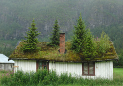 furtho:  Abandoned cottage, Norway (via niume.com) 