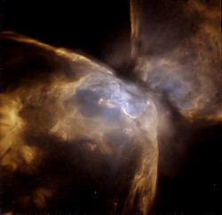afro-dominicano:  NGC6302: The Bug Nebula  This is a centered and detailed processing of NGC 6302 also known as the bug nebula. FITS data obtained from Hubble Legacy Archive (HLA).  Processing by Delio Tolivia Cadrecha