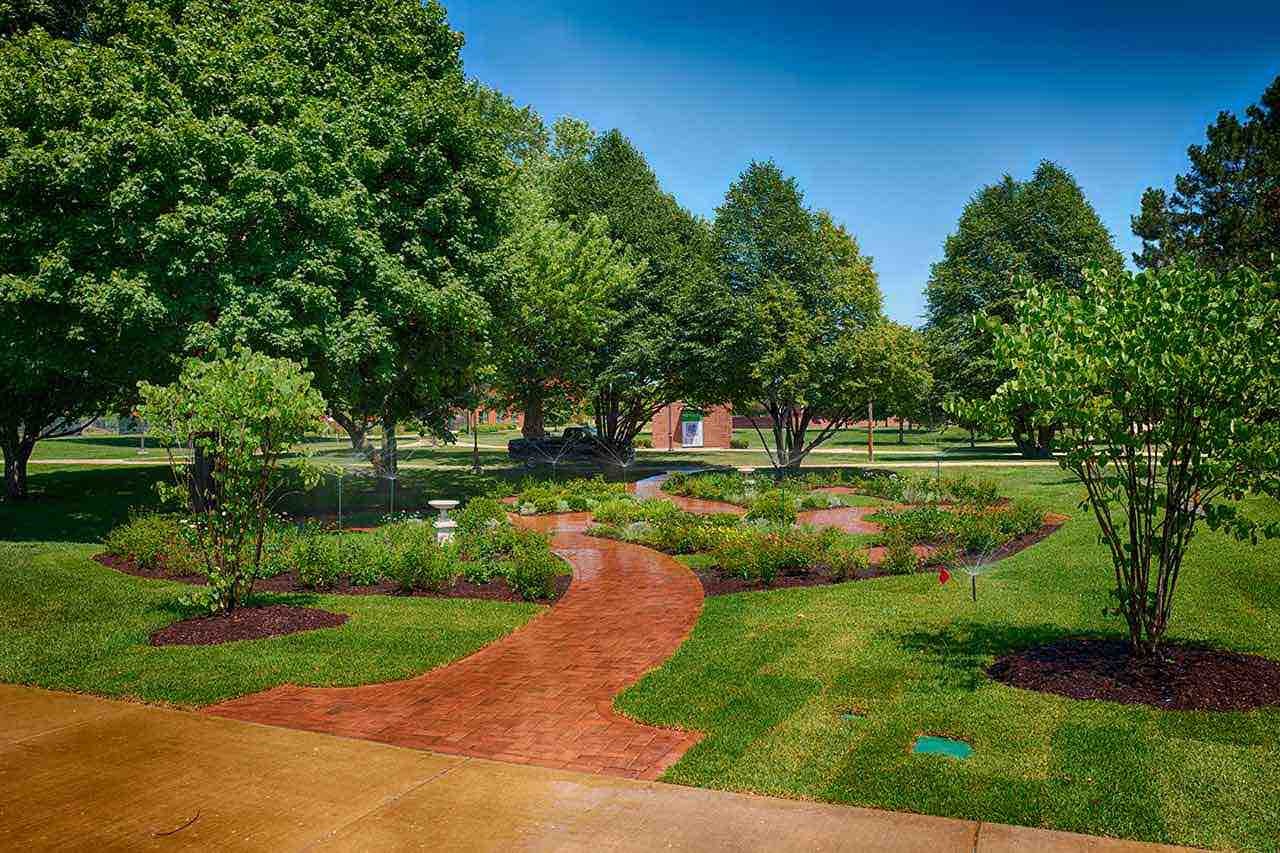 D&H Lawn Irrigation — LED lighting why it will revolutionize your life