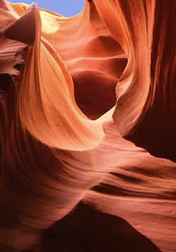 llbwwb:  Antelope Canyon Abstract (by mojo2u) 