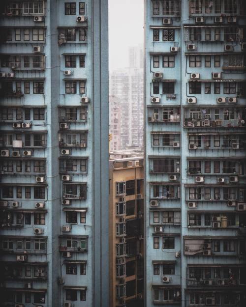 rhubarbes:by Lucian (@lamyock) • on Instagram 