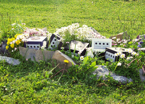 alexbaeddelbunny:  unseelie-baeddel:  blazikendall:  Little gamecubes resting in their natural habitat  why would anyone need to own so many gamecubes  They arent owned, they are wild gamecubes   I’m gonna catch em all!