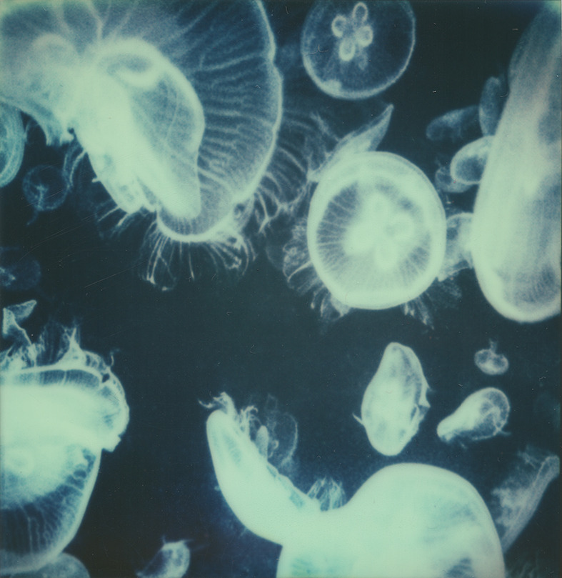 cerceos:  Cedric Yon Instagram: CedricYon, 2013 