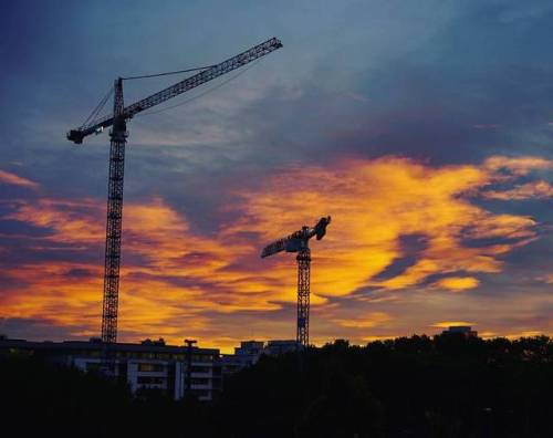 Grues et ciel matinal. Cranes, sunrise. . .#rivetoile #Strasbourg #crane #grue #sunrise #instaclou