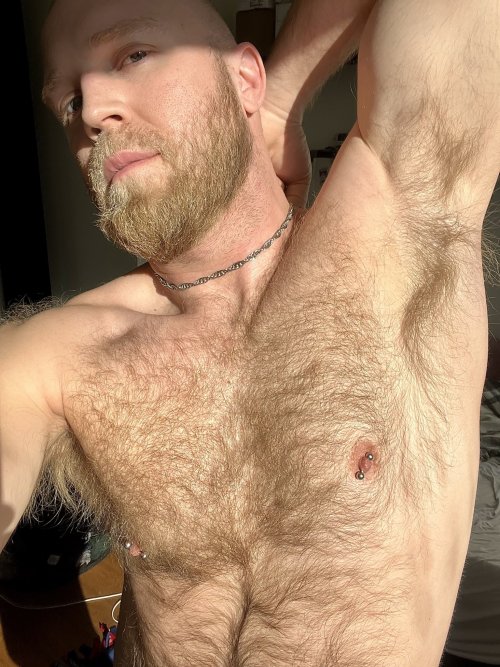 Lover of Hairy Men