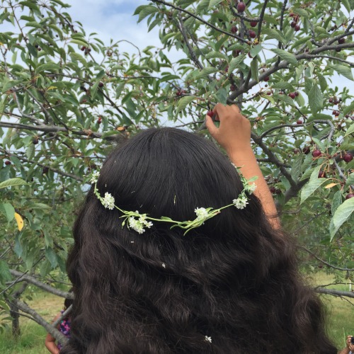 callaiope: tfw you go cherry picking but end up just picking wildflowers instagram: sophiap.7