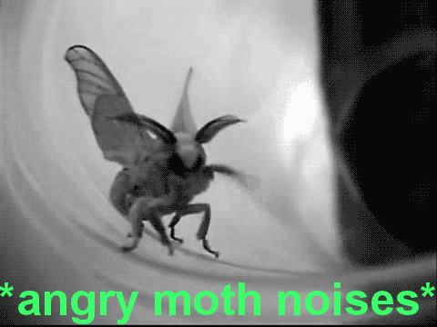 raffleupagus:  artoo:  angry moth mom    