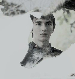 rhaegaried:The lone wolf d i e s, but the pack survives